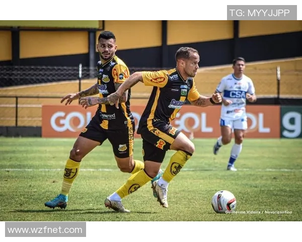 沙佩科与累体育激战正酣谁将赢得这场精彩对决的胜利