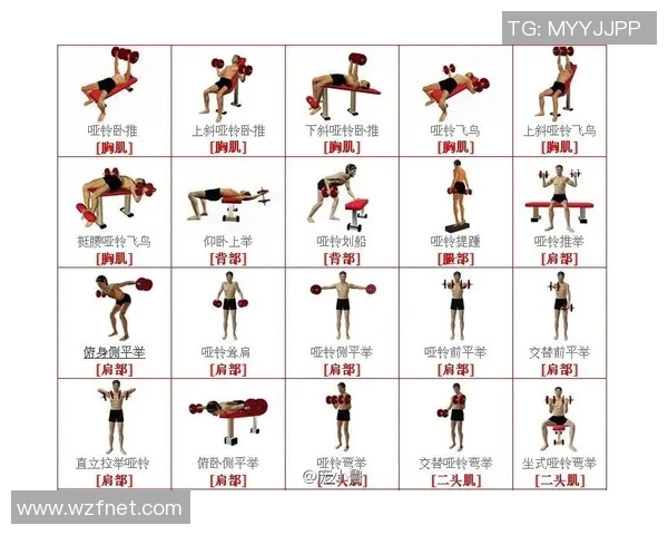 哑铃2kg换算成斤的具体数值及其在健身中的应用分析